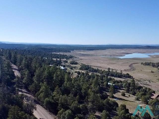 Land for sale in New Mexico