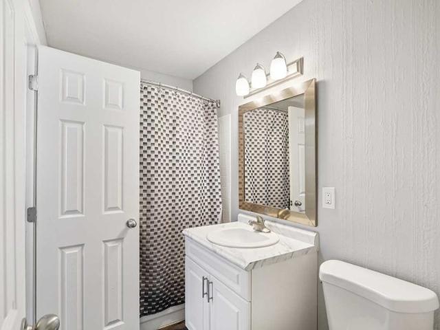Apartment for rent in Tampa, Florida