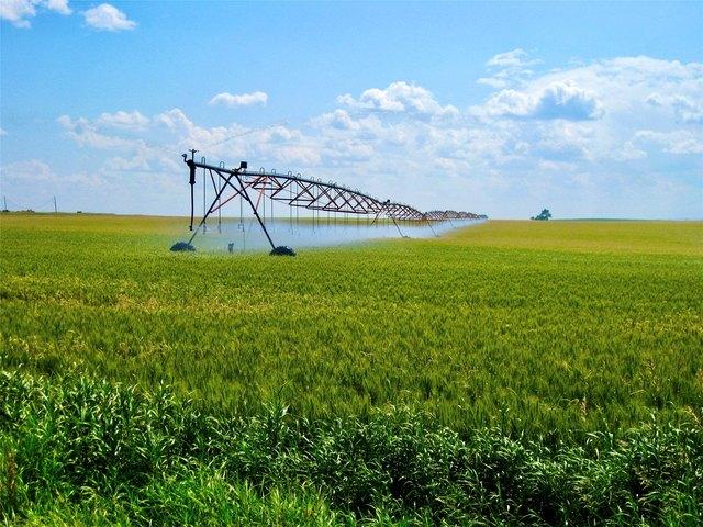 Farm for sale in Valier, Montana