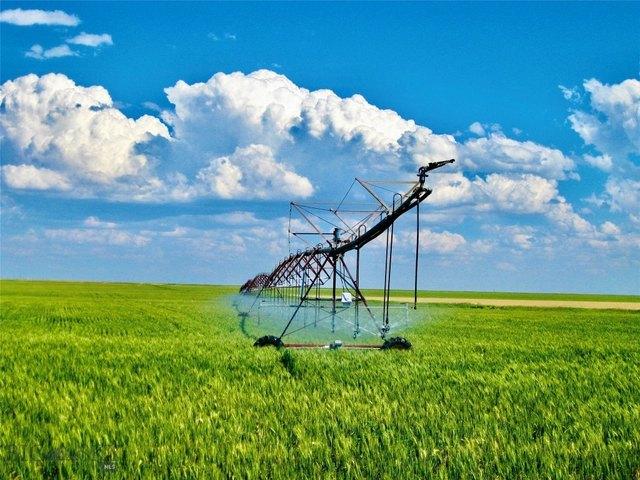 Farm for sale in Valier, Montana