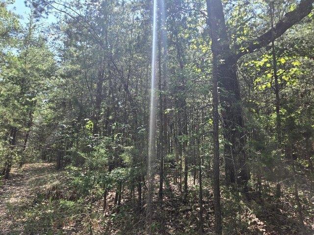 Land for sale in Virginia