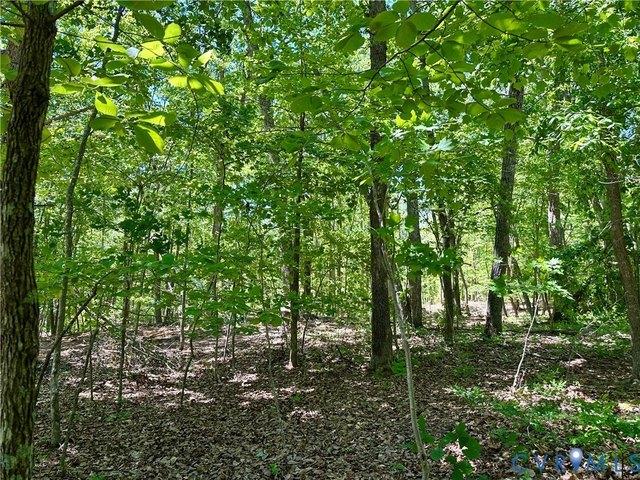 Land for sale in Virginia