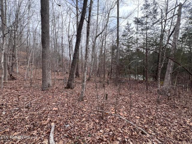 Land for sale in Tennessee