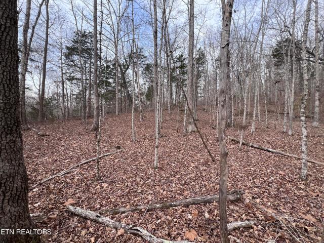 Land for sale in Tennessee