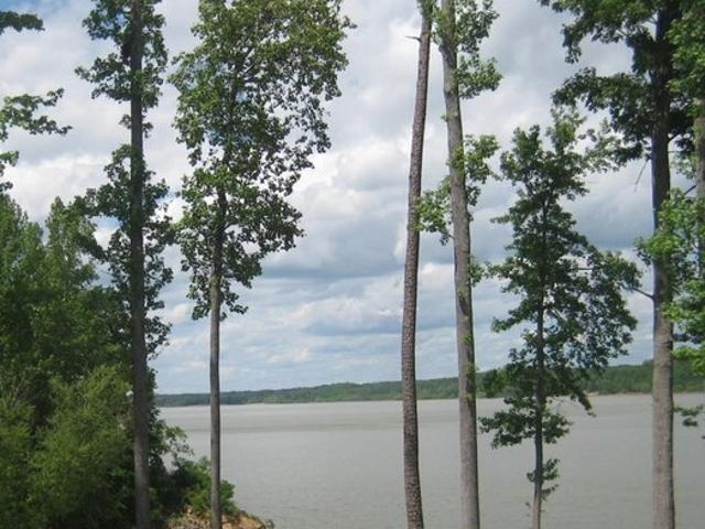 Land for sale in Virginia