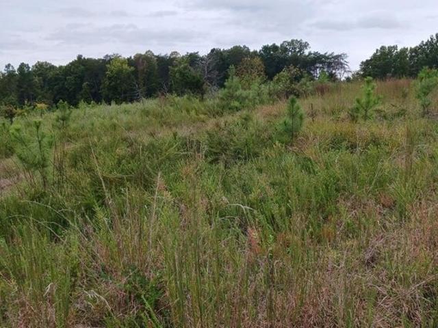 Land for sale in Farmville Land for sale in Farmville