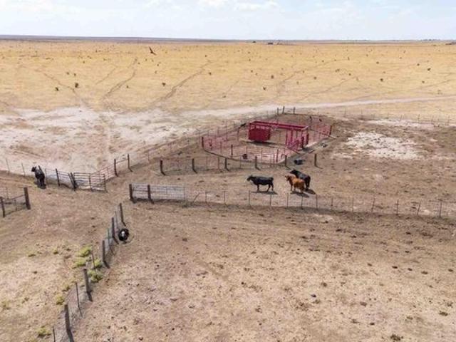 Farm for sale in Randall, Texas