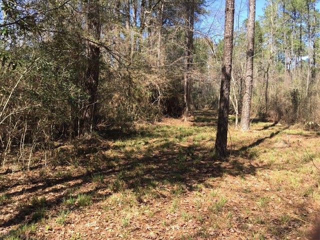 Land for sale in Silsbee, Texas