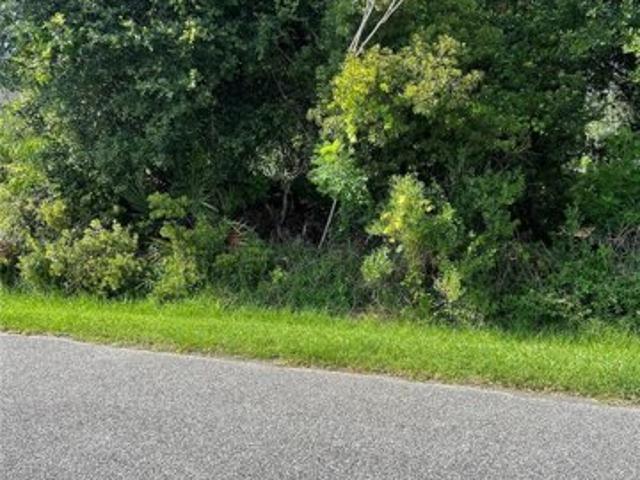 Land for sale in Palm Coast, Florida