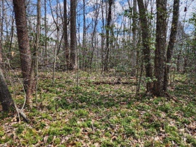 Land for sale in Tennessee