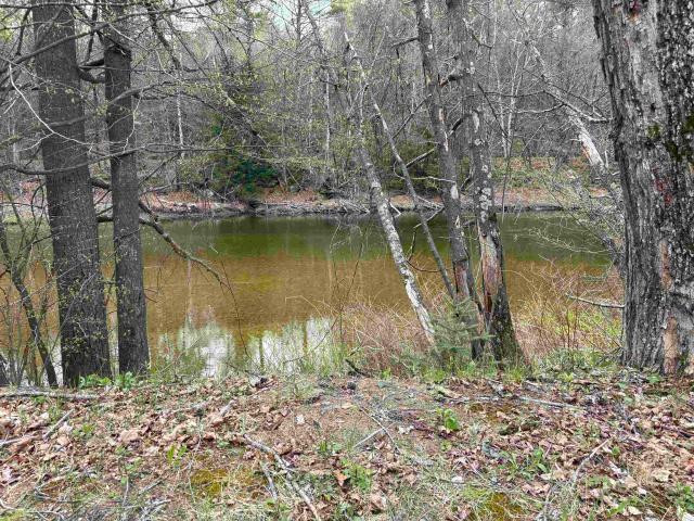 Commercial for sale in New Hampshire