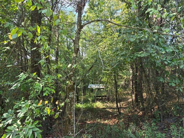 Land for sale in McCurtain County, Oklahoma