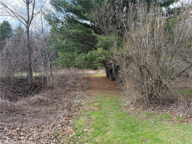 Land for sale in Cohocton, New York