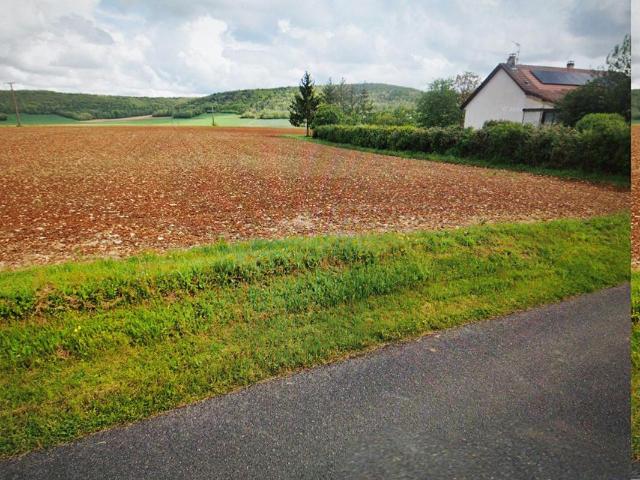 Terrain vente à Montbard, Buffon