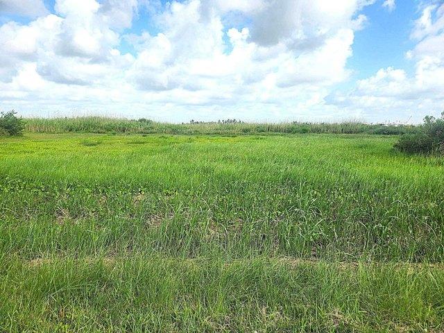 Land for sale in Jefferson, Texas