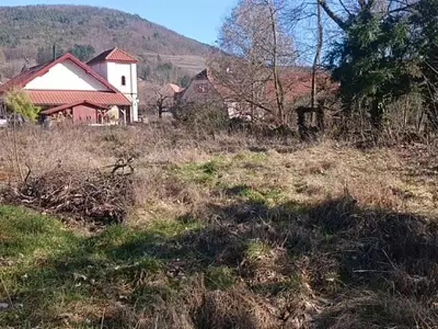 Terrain vente à Buhl, Collectivité européenne d'Alsace