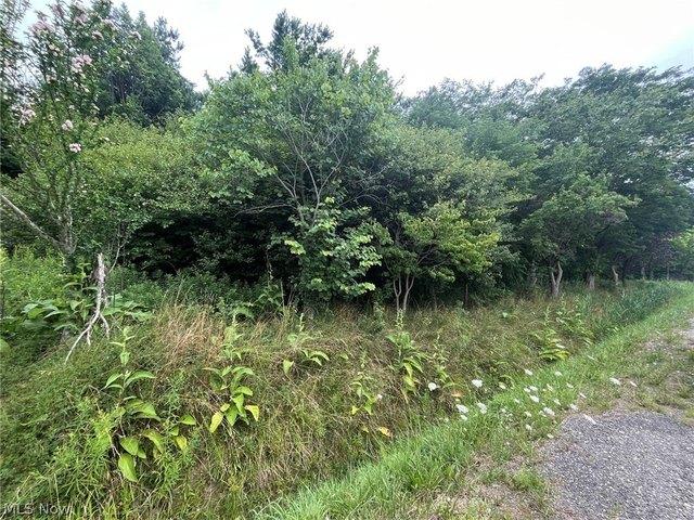 Land for sale in Kingsville, Ohio