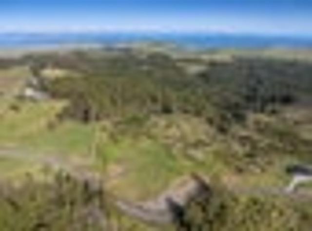 Land for sale in Kawau Island