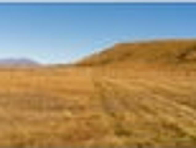 Land for sale in Mackenzie, Canterbury