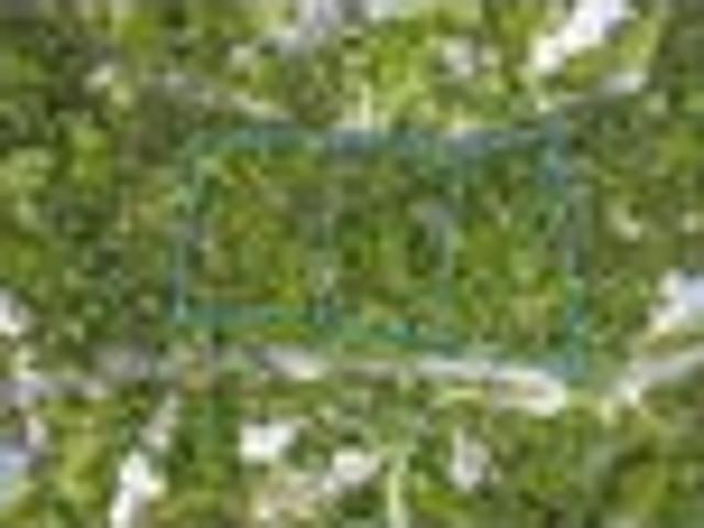 Land for sale in Kawau Island