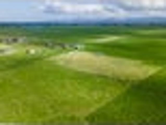 Land for sale in Ngatea, Waikato