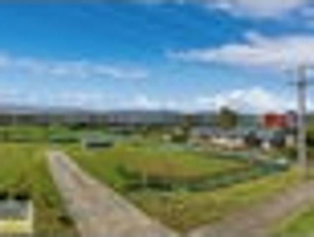 Land for sale in Opotiki, Bay Of Plenty