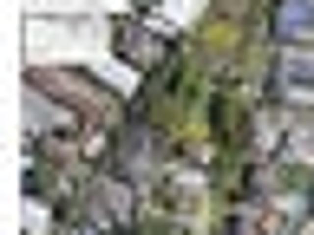 Land for sale in Napier