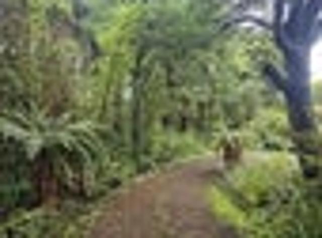 Land for sale in Invercargill, Southland