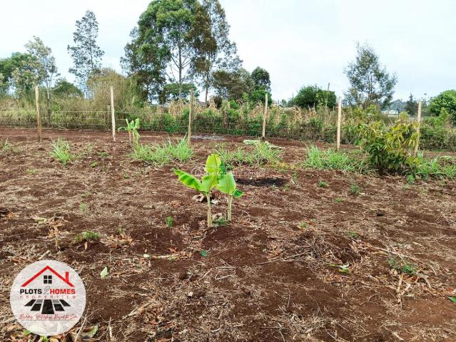 Land for sale