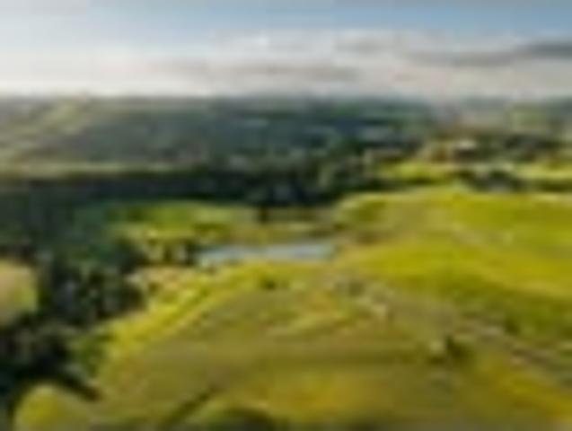Land for sale in Kawau Island