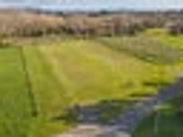 Land for sale in Horowhenua District