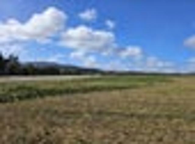 Land for sale in West Coast