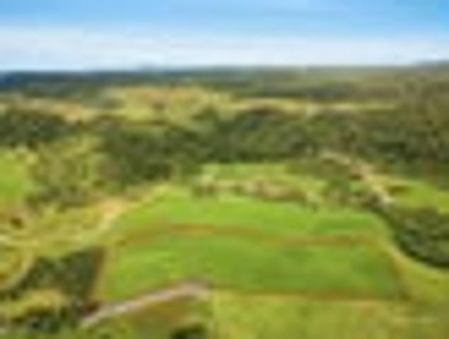 Land for sale in Bay Of Plenty