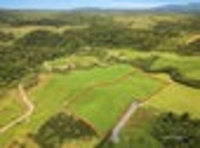 Land for sale in Bay Of Plenty