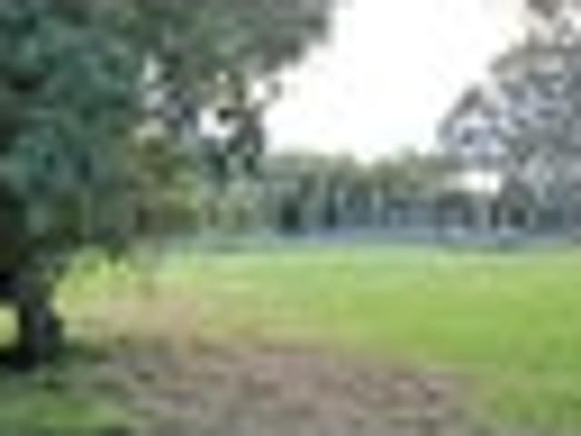 Land for sale in Whangarei, Northland
