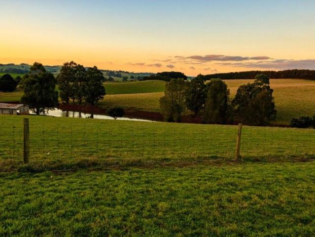 Land for sale in Thorpdale, Victoria