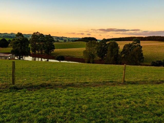 Land for sale in Thorpdale, Victoria