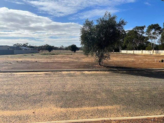 Land for sale in Corrigin, Shire Of Corrigin