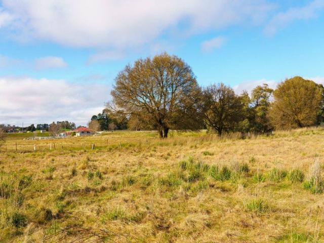 Land for sale in Neville, New South Wales