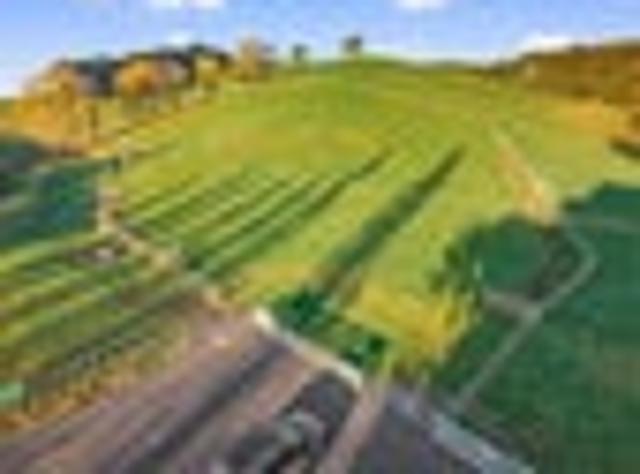 Land for sale in Kaihere, Waikato