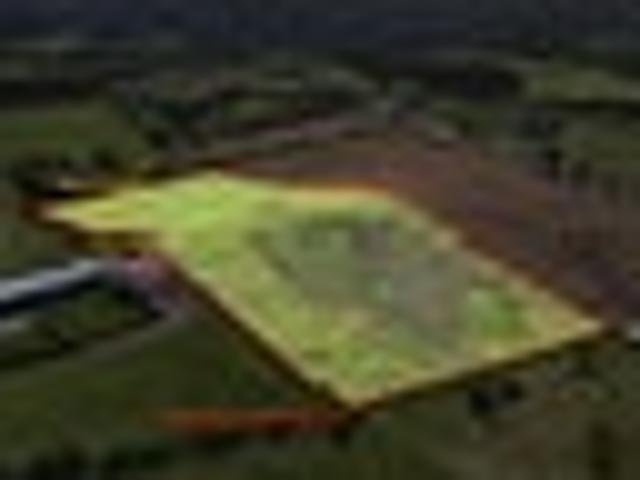 Land for sale in Northland