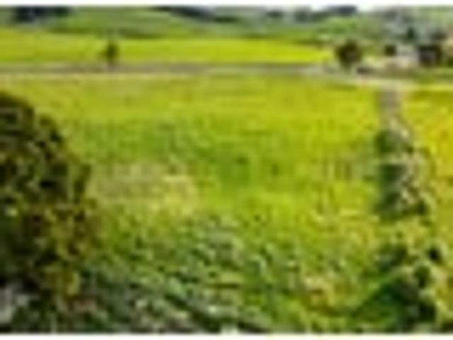 Land for sale in Northland