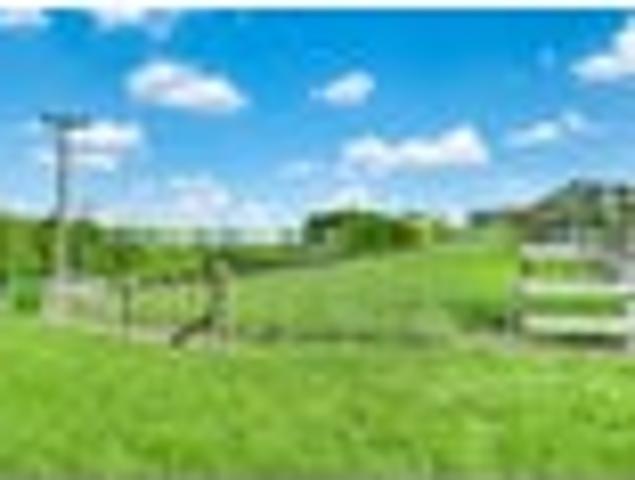 Land for sale in Tīrau, South Waikato District