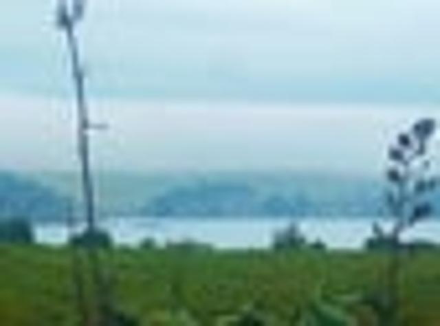 Land for sale in Omiha