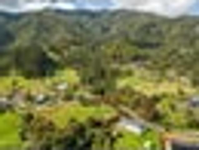 Land for sale in Coromandel, Waikato