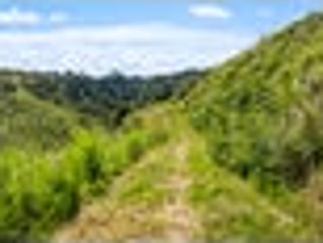 Land for sale in Kawau Island