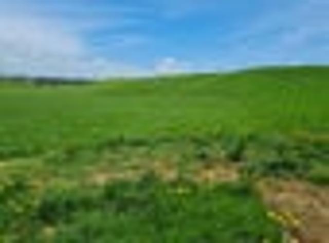 Land for sale in Taranaki