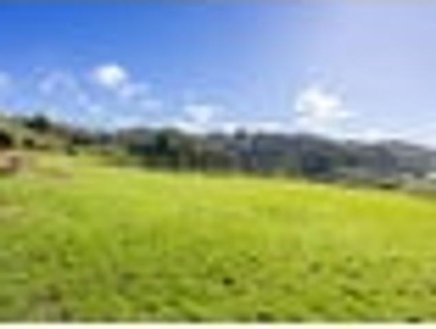Land for sale in Mahurangi