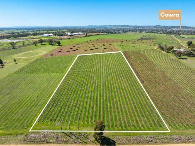 Land for sale in Noonbinna, Cowra