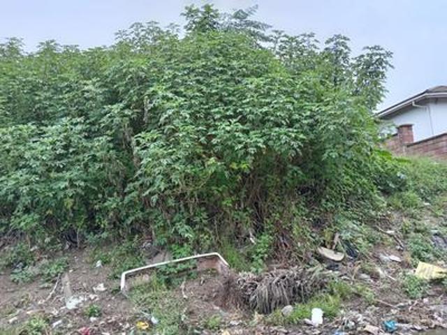 Land for sale in Clermont